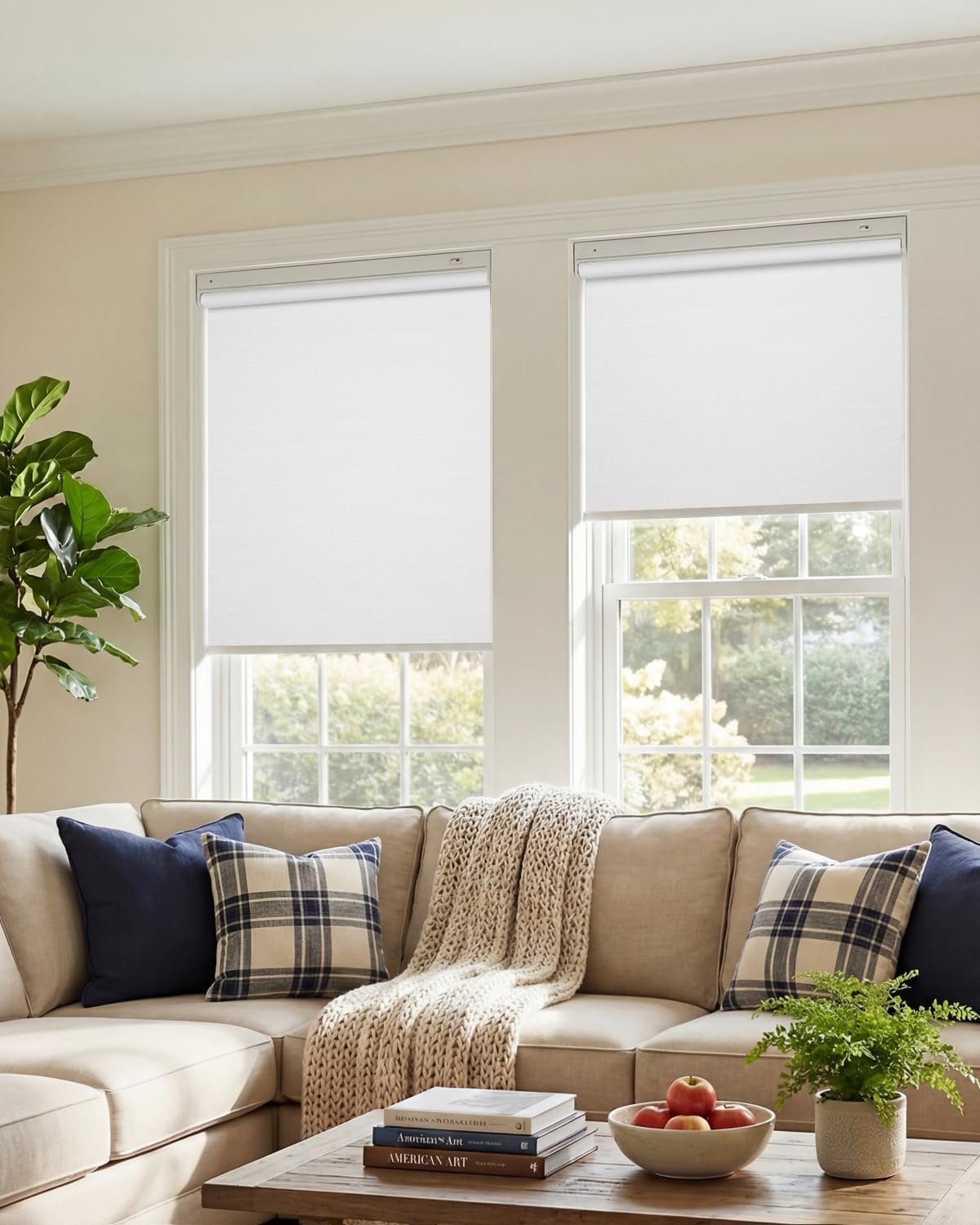 Motorized Blinds with Remote Control