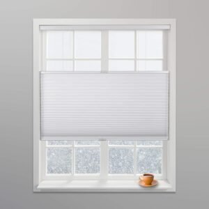 Blinds White Light Filtering